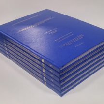 BEZ (DERİ) CİLTLEME